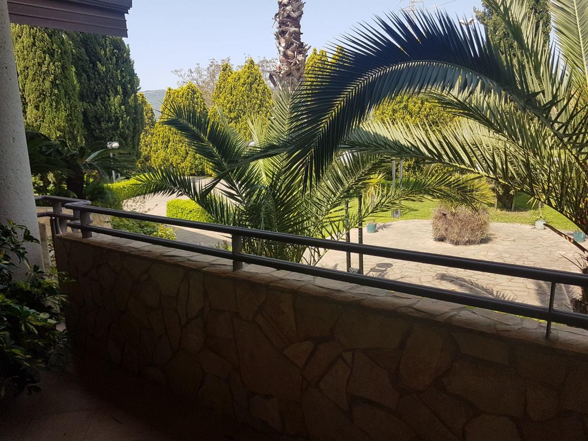 Agriturismo Terre Delle Monache 庞特卡格纳诺 外观 照片