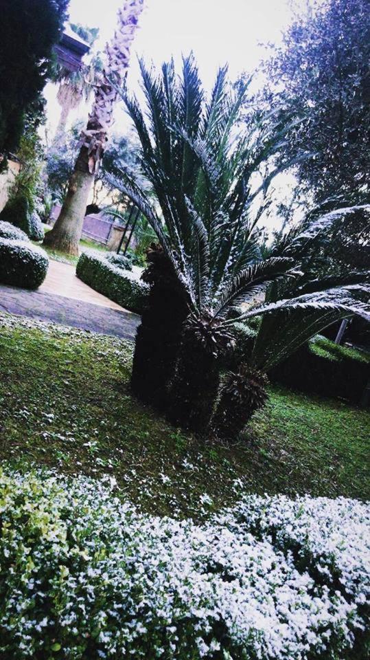 Agriturismo Terre Delle Monache 庞特卡格纳诺 外观 照片